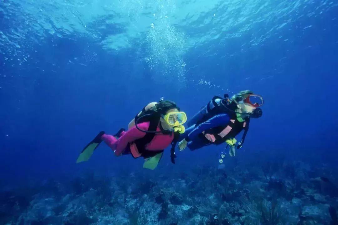 虫虫助手下载
