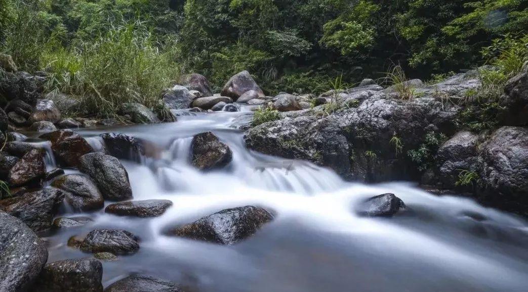 对于一首流行歌曲来讲，词更重要还是曲更重要？
